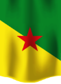 Drapeau codima Guyane